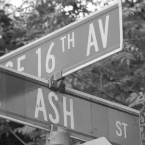 The River Has Many Voices - Ash St