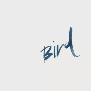 Rich Johns - Bird