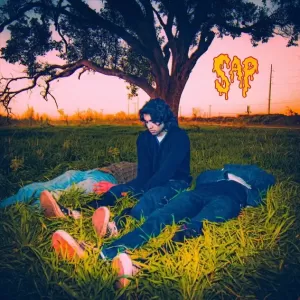 Sap - Bleed in the Sun