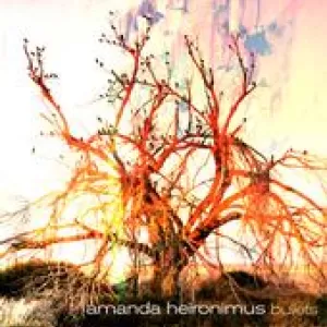 Amanda Heironimus - Bullets
