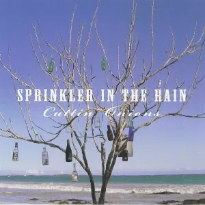 Sprinkler in the Rain - Cuttin' Onions