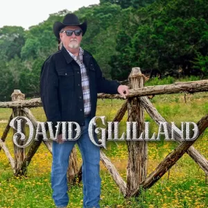David Gililland - David Gililland