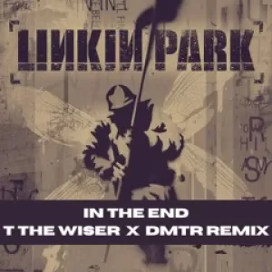 T THE WISER X DMTR - IN THE END REMIX