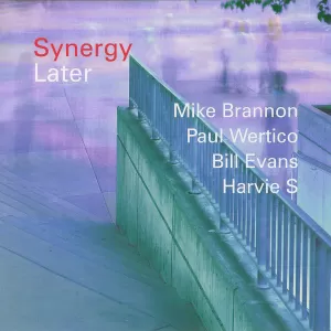 Synergy - Later