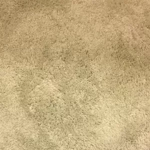 The Gregs - Living Room Carpet
