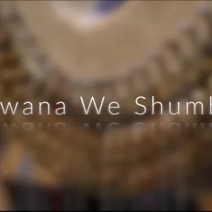 Joel Laviolette - Mwana We Shumba