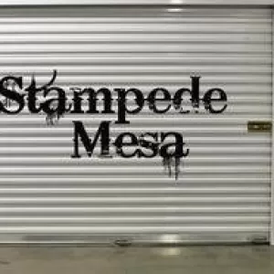 Stampede Mesa - Audiation
