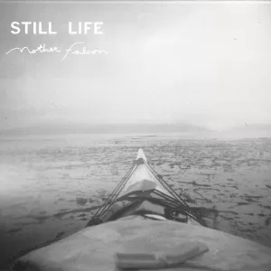 Mother Falcon - Still Life