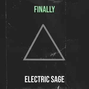 Electric Sage - This Party Is So Good