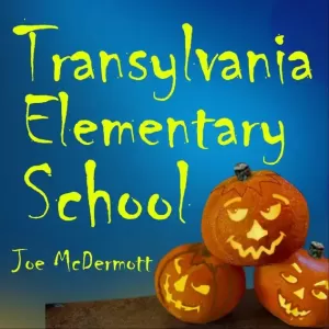 Joe McDermott - Transylvania Elementary School