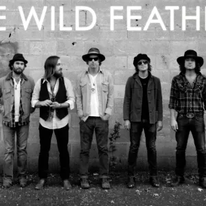 The Wild Feathers - The Wild Feathers