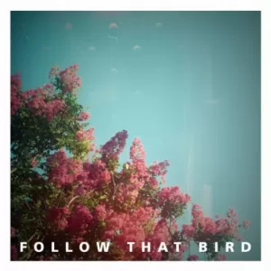 Follow That Bird - Wooden Bones FOR VINYL