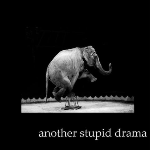 Nathan's Stupid Drama - Another Stupid Drama