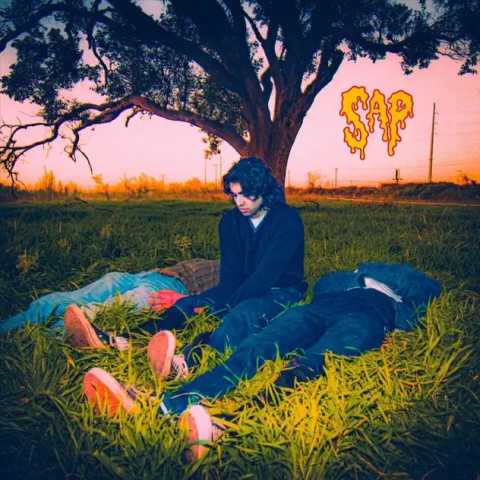Sap - Bleed in the Sun
