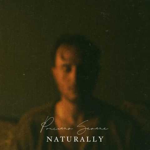 Ponciano Seoane - Naturally