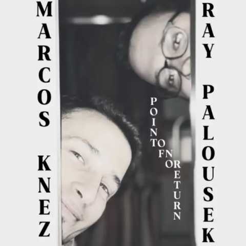 Ray Palousek - Point of No Return