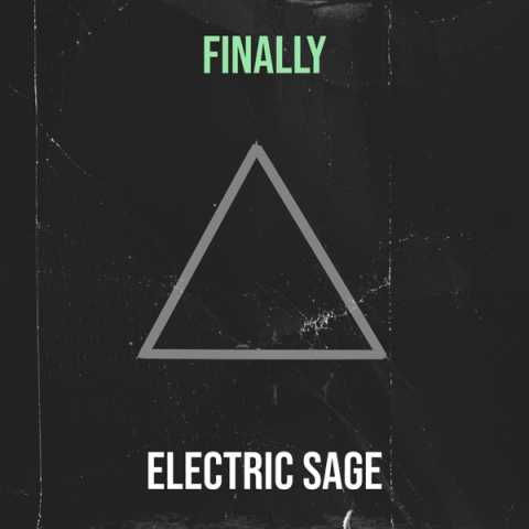 Electric Sage - This Party Is So Good