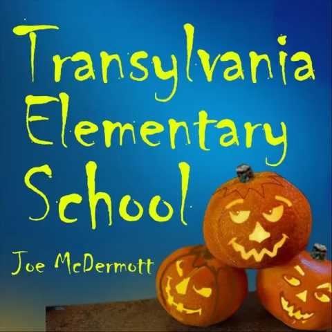 Joe McDermott - Transylvania Elementary School