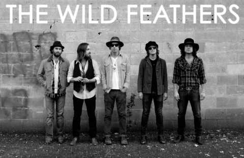 The Wild Feathers - TWF-LP2012