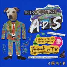 Animals on TV - ADS!