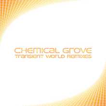 Chemical Grove - Transient World