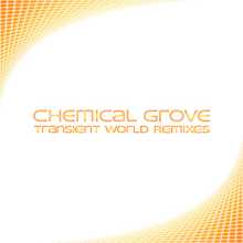 Chemical Grove - Transient World