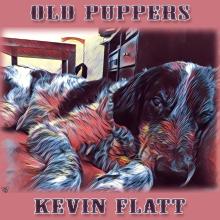 Kevin Flatt - Old Puppers