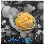 Blue Amulets - Orange Peel