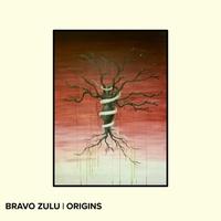 Bravo Zulu - Origins