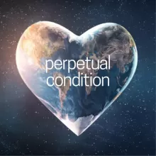 Holly Peck & Parker Woodland - Perpetual Condition