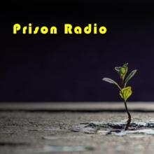 Charlie and The Regrets - Prison Radio