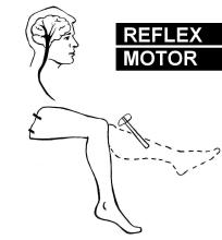 ALIENS - Reflex Motor