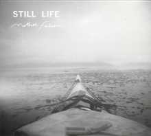 Mother Falcon - Still Life