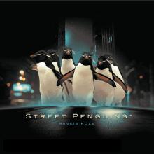 Raveis Kole - Street Penguins