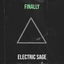 Electric Sage - This Party Is So Good