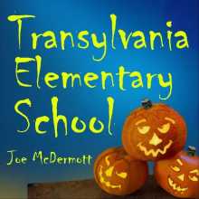 Joe McDermott - Transylvania Elementary School