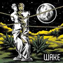 Finite Fidelity - Wake