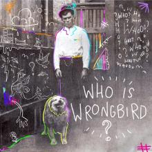 Wrongbird - Who Is Wrongbird?