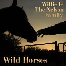 Willie and Kids - Wild Horses